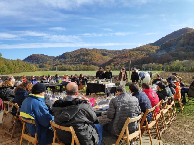 Tast aromes sotabosc