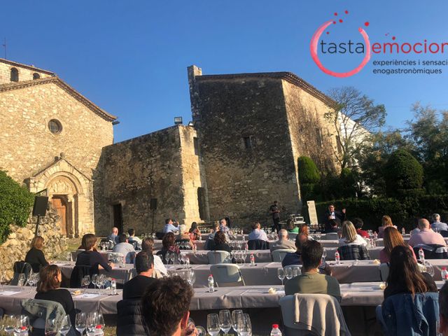 6_Tastaemocions_Sumolls2 copia