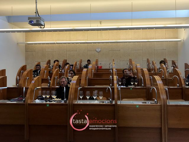 Tastaemocions_URV_1120 copia