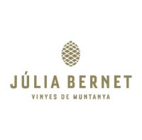 logo_juliabernet.