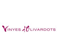 logo_vdo